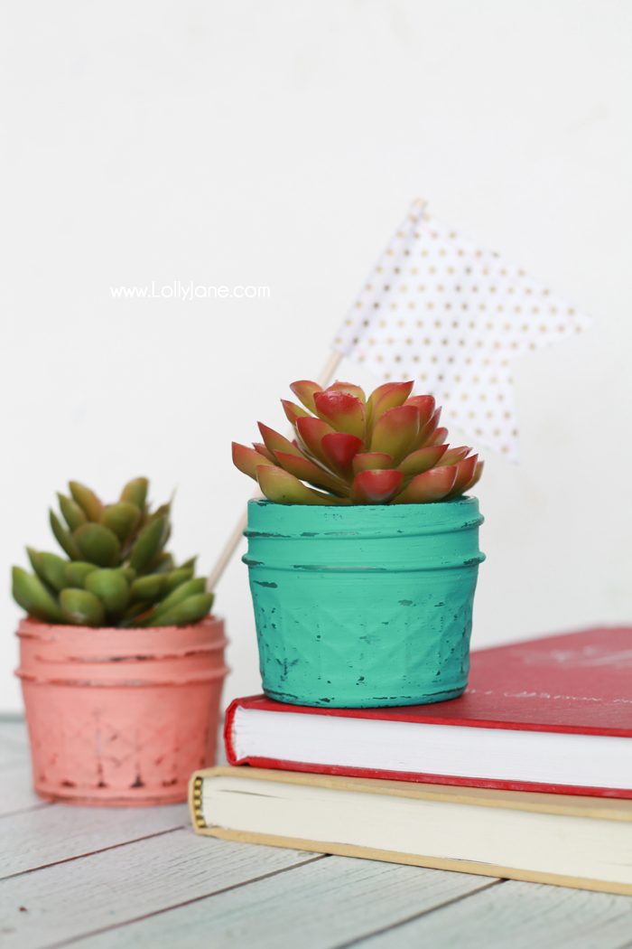 DIY Painted Planted Plastic Succulents... quick + easy DIY gift or decor! 