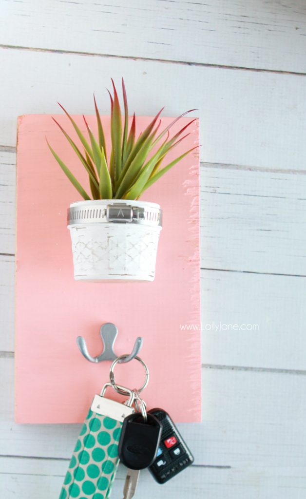 DIY Succulent Potted Mason Jar Key Holder |via LollyJane.com