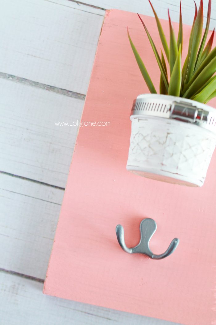 DIY Succulent Potted Mason Jar Key Holder |via LollyJane.com