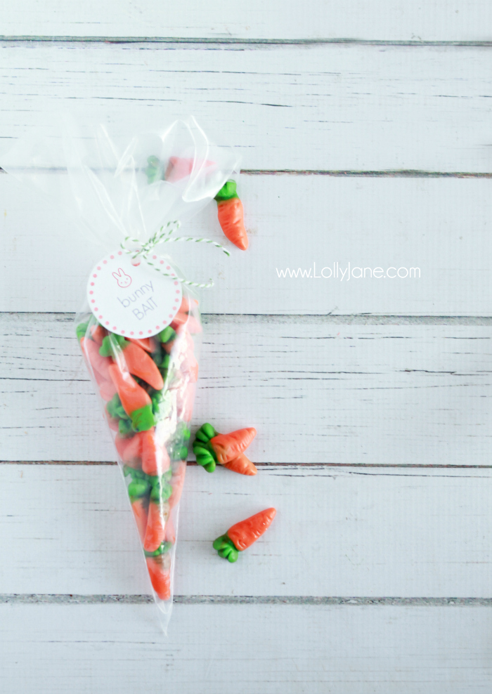 Easter Bunny Bait Treat with FREE Printable Tags 