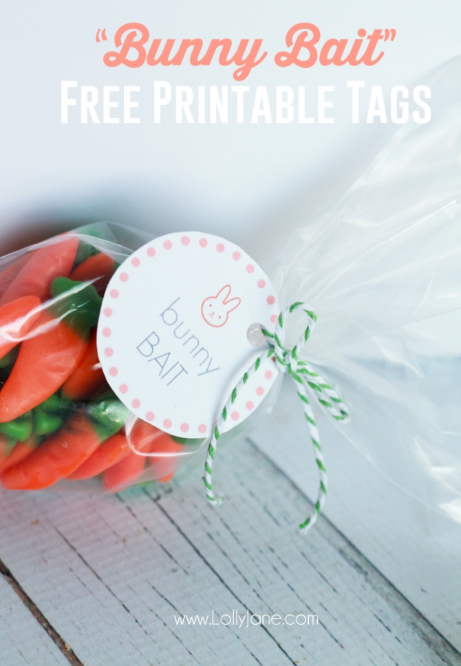 Easter Bunny Bait Treat with FREE Printable Tags 