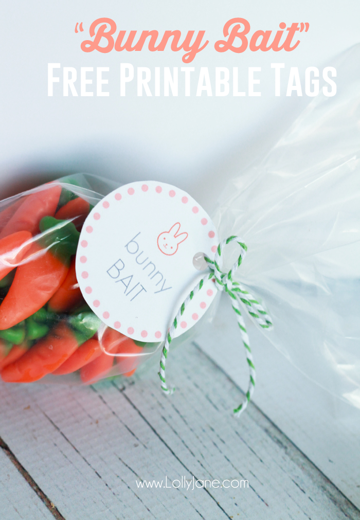 Easter Bunny Bait Treat with FREE Printable Tags 