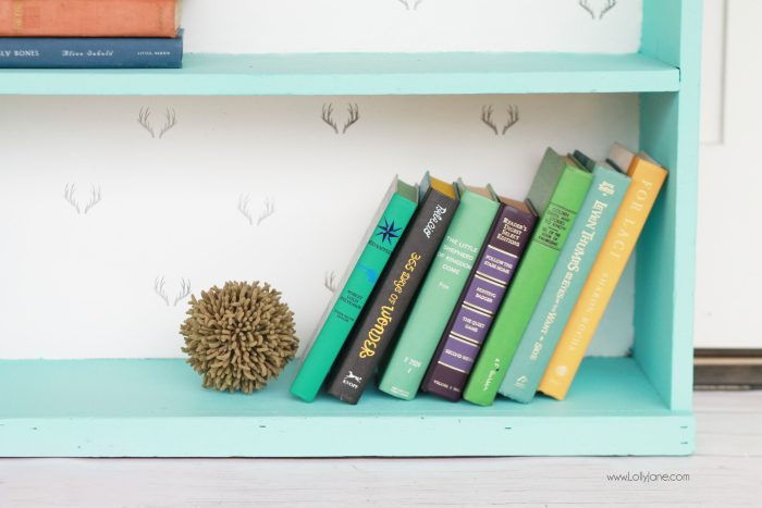 Gorgeous painted bookcase makeover! The before is unrecognizable! Chalk paint prettied this bookcase right up, plus a fun stamped backing to the inside shelves brightened it up! Antler stamped bookcase, so dang cute!