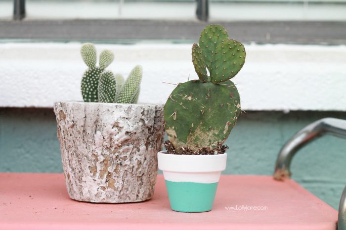 Front porch garden decor and ideas! Plants to use for heavily shaded areas. #greenthumbchallenge