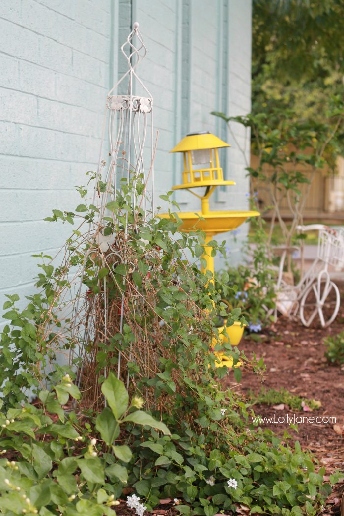 Front porch garden decor and ideas! Plants to use for heavily shaded areas. #greenthumbchallenge