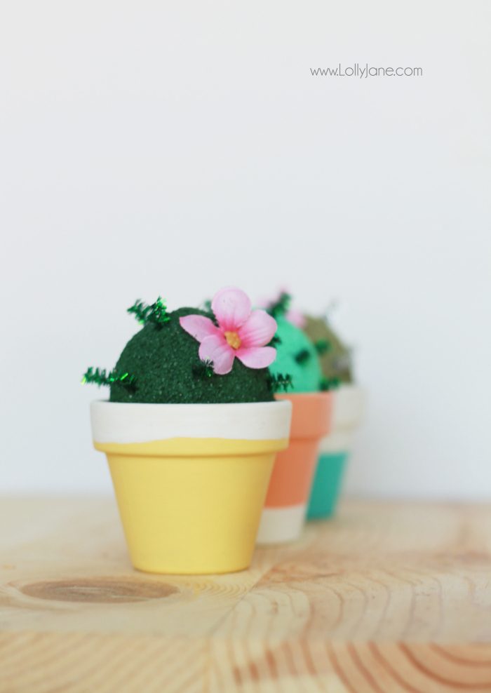 How to make a foam cactus garden with foam and pipe cleaners. So cute and lots of fun for kids! A great way to keep kids busy this summer! A fun kids craft idea! Love little mini succulents crafts!