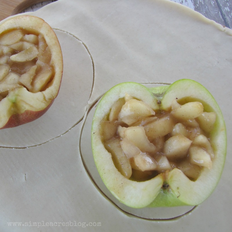 Apple Pie Bites recipe, so good! Perfect fall dessert recipe, yum! Love these mini apple pies!