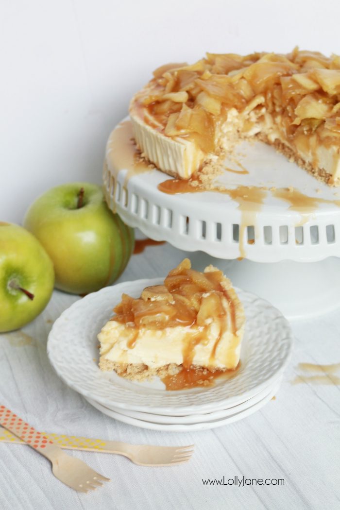 Easy caramel apple cheesecake recipe! So easy using a cheesecake base, this caramel apple cheesecake topping is a quick to make and is the perfect addition to your favorite cheesecake base! Yummy fall dessert, easy Thanksgiving recipe, great fall recipe idea!