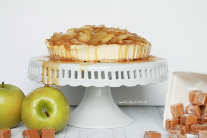 Easy caramel apple cheesecake recipe! So easy using a cheesecake base, this caramel apple cheesecake topping is a quick to make and is the perfect addition to your favorite cheesecake base! Yummy fall dessert, easy Thanksgiving recipe, great fall recipe idea!