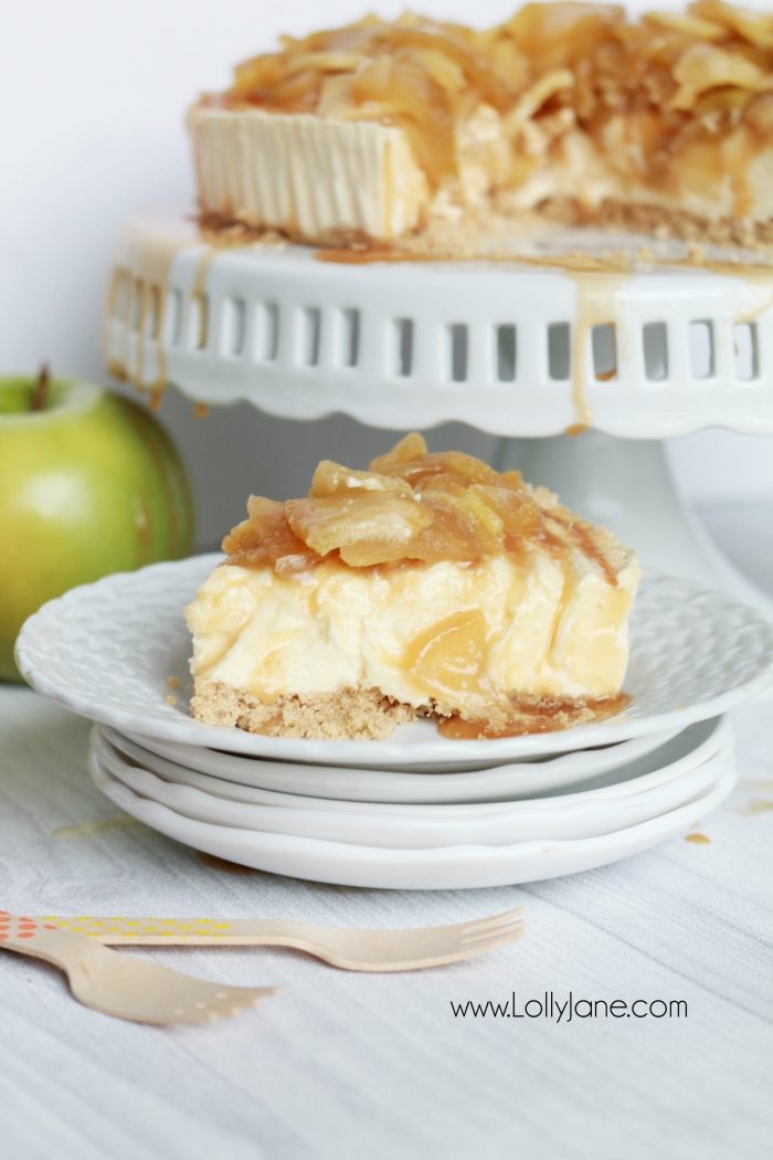 Easy caramel apple cheesecake recipe! So easy using a cheesecake base, this caramel apple cheesecake topping is a quick to make and is the perfect addition to your favorite cheesecake base! Yummy fall dessert, easy Thanksgiving recipe, great fall recipe idea!