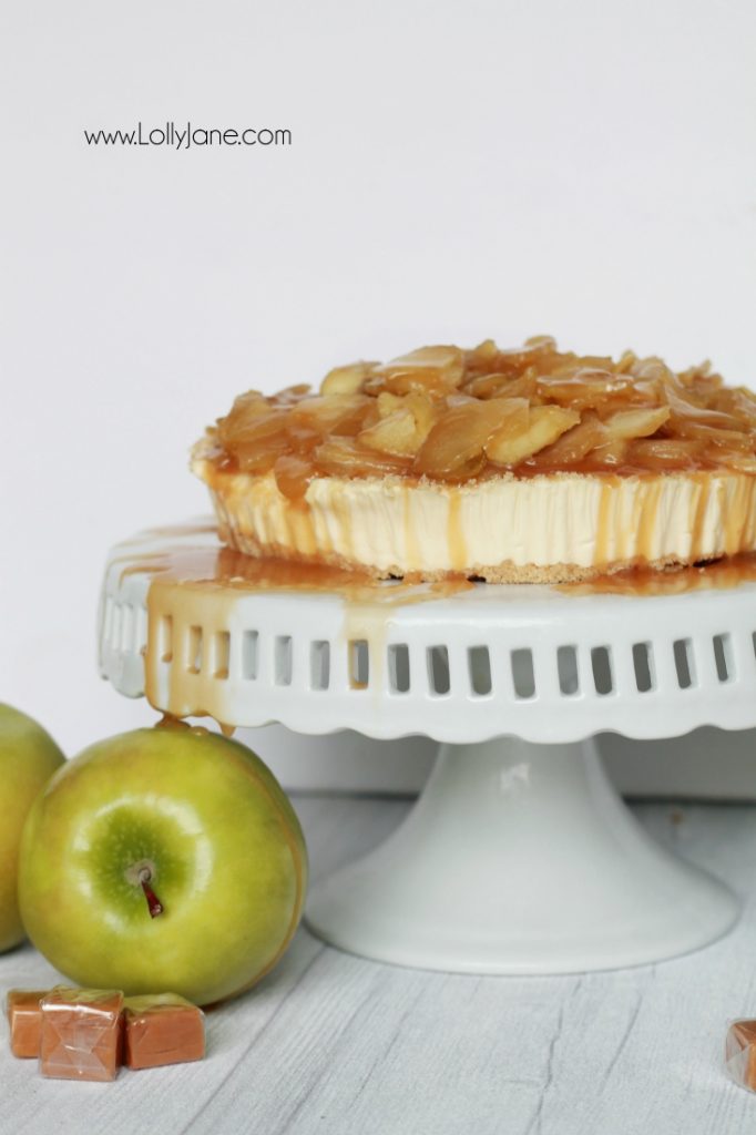 Easy caramel apple cheesecake recipe! So easy using a cheesecake base, this caramel apple cheesecake topping is a quick to make and is the perfect addition to your favorite cheesecake base! Yummy fall dessert, easy Thanksgiving recipe, great fall recipe idea!