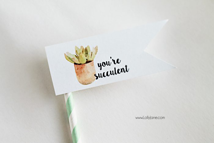 Free "you're succulent" printable tags. Love these cute Valentine tags. Free printable to let your love know you think they're succulent! Free printable tags!