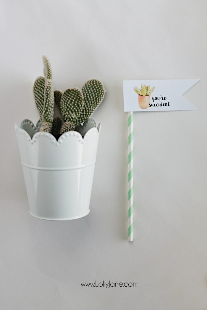 Free "you're succulent" printable tags. Love these cute Valentine tags. Free printable to let your love know you think they're succulent! Free printable tags! Cute succulent gift idea!