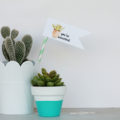 Free "you're succulent" printable tags. Love these cute Valentine tags. Free printable to let your love know you think they're succulent! Free printable tags! Cute succulent gift idea!