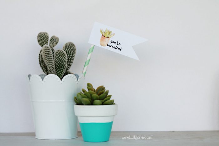 Free "you're succulent" printable tags. Love these cute Valentine tags. Free printable to let your love know you think they're succulent! Free printable tags! Cute succulent gift idea!