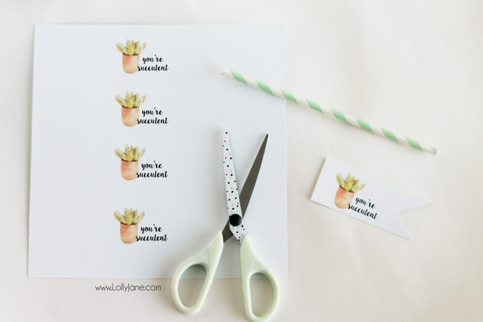Free "you're succulent" printable tags. Love these cute Valentine tags. Free printable to let your love know you think they're succulent! Free printable tags! 