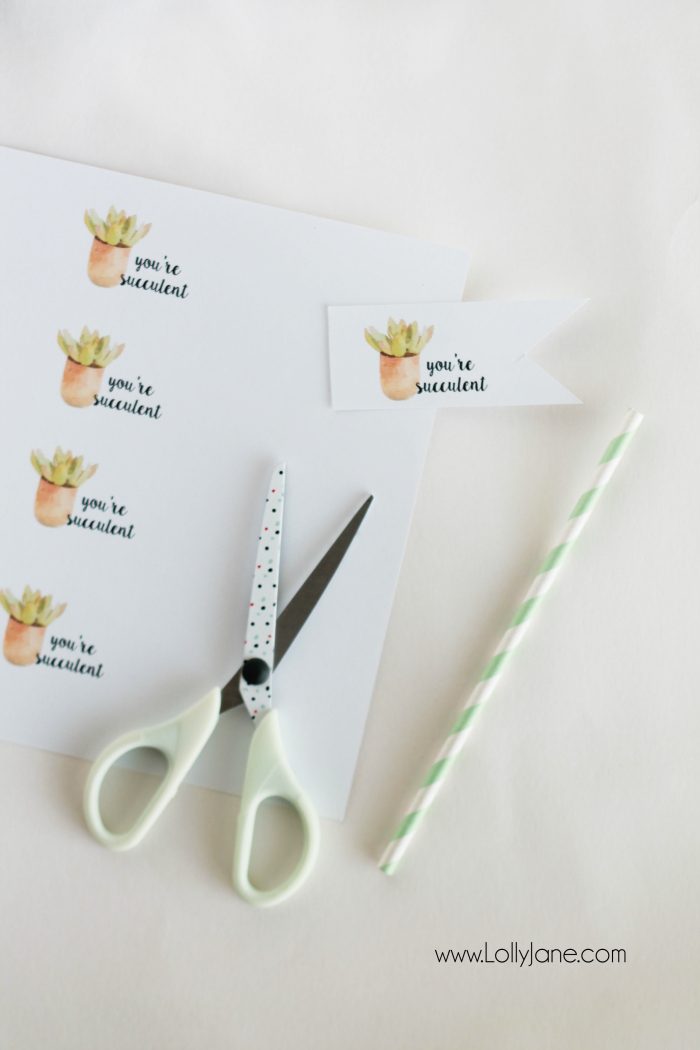 Free "you're succulent" printable tags. Love these cute Valentine tags. Free printable to let your love know you think they're succulent! Free printable tags!