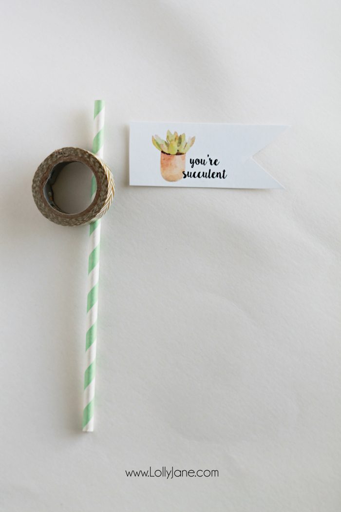 Free "you're succulent" printable tags. Love these cute Valentine tags. Free printable to let your love know you think they're succulent! Free printable tags!