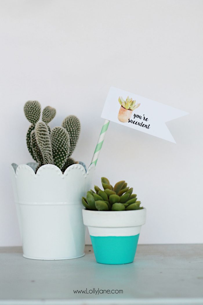 Free "you're succulent" printable tags. Love these cute Valentine tags. Free printable to let your love know you think they're succulent! Free printable tags! Cute succulent gift idea!