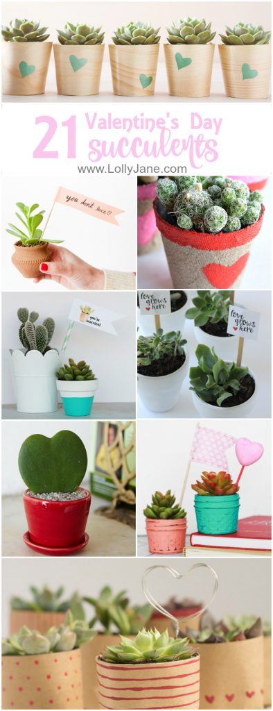 21 Valentine's Day succulent. A collection of inexpensive Valentine's Day gifts. Easy succulent gift ideas, many using free printable tags!