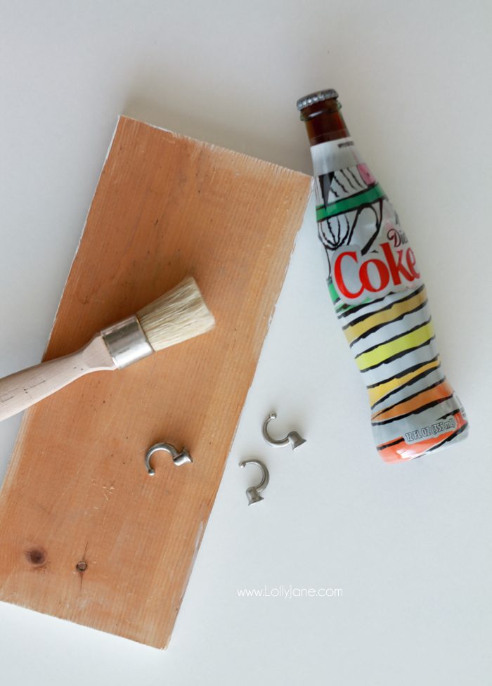 DIY Coke Bottle Vase Key Holder - Lolly Jane