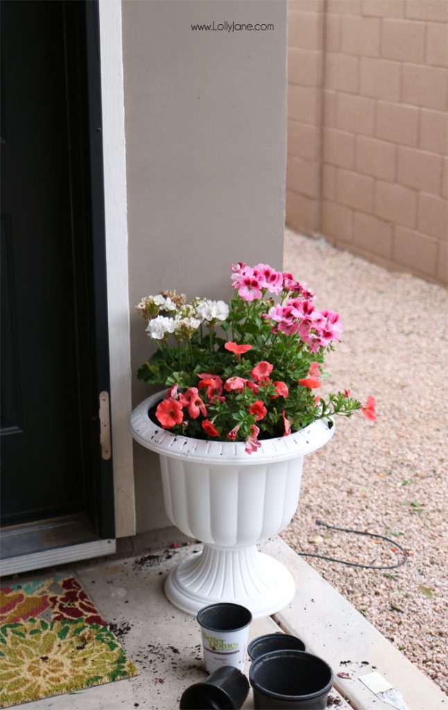 Easy Springy Porch Refresh... love this Door Makeover!