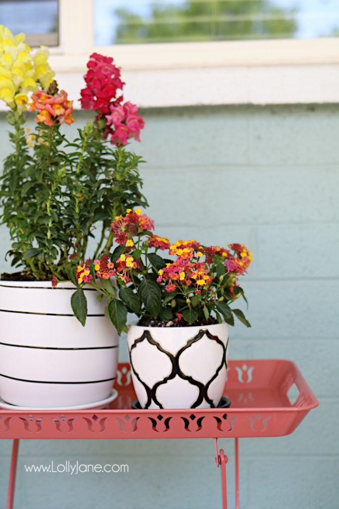 Summer porch decor ideas! Love the pops of coral and bright summer colors! New vases with colorful flowers really brighten up this summer porch! Great summer porch decor ideas!