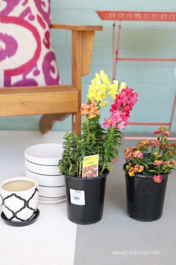 Summer porch decor ideas! Love the pops of coral and bright summer colors! New vases with colorful flowers really brighten up this summer porch! Great summer porch decor ideas!