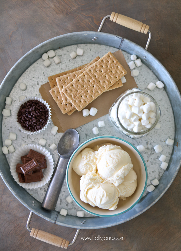 Easy S'mores Ice Cream Sandwiches