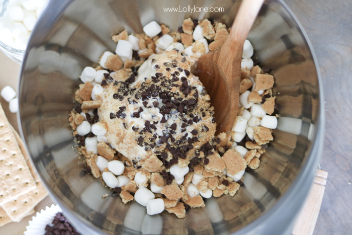 Easy S'mores Ice Cream Sandwiches