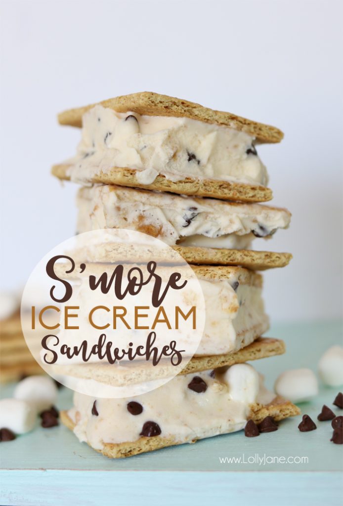 Easy S'mores Ice Cream Sandwiches