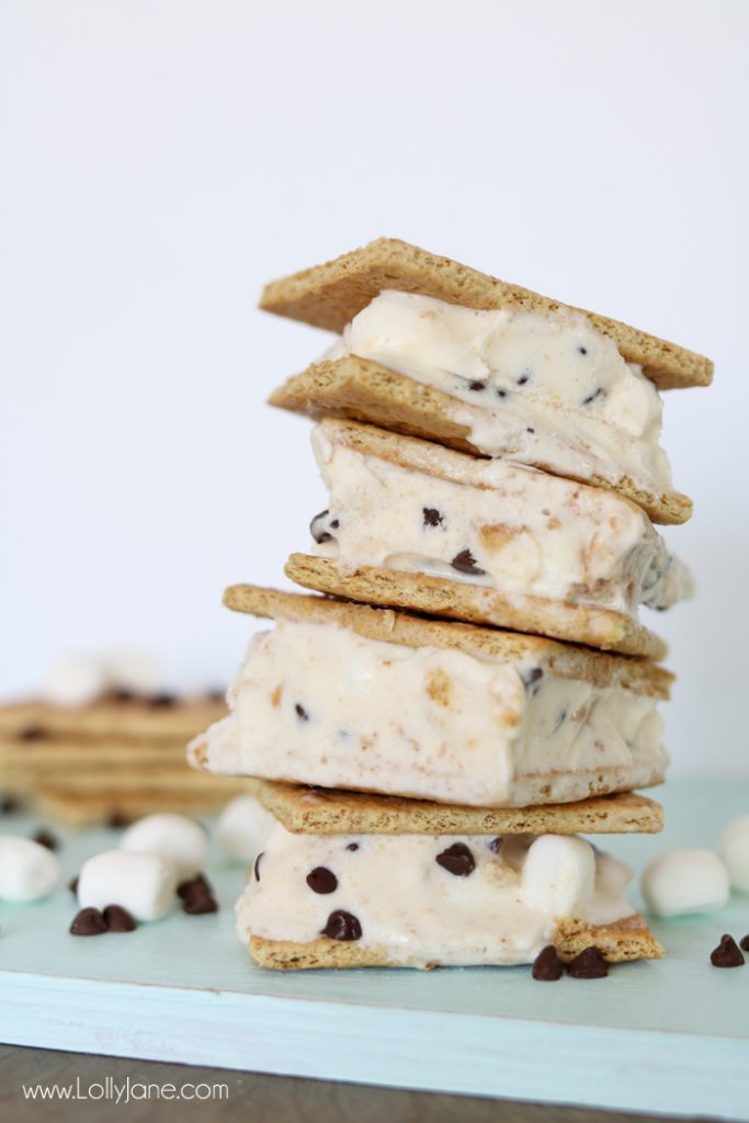 Easy S'mores Ice Cream Sandwiches