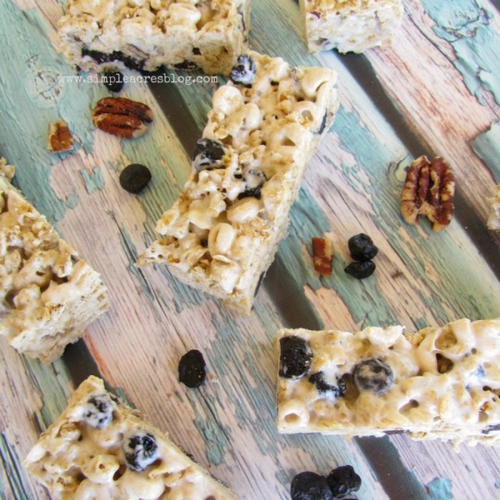 Homemade Granola Bars recipe. Easy and yummy on the go snacks! Great kid snack idea