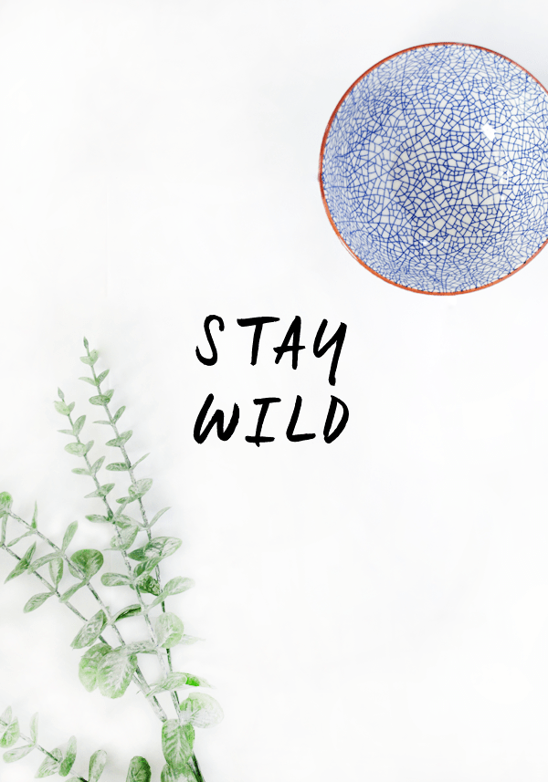 https://lollyjane.com/wp-content/uploads/2016/07/22-18591-post/stay_wild_free_printable.png