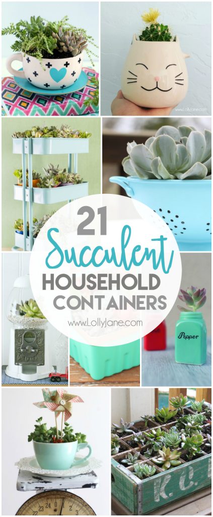 21 household succulent containers. Check out these awesome everyday household items you can transform into pretty succulents! My favorite is the salt and pepper succulents. SO many cute home decor ideas!