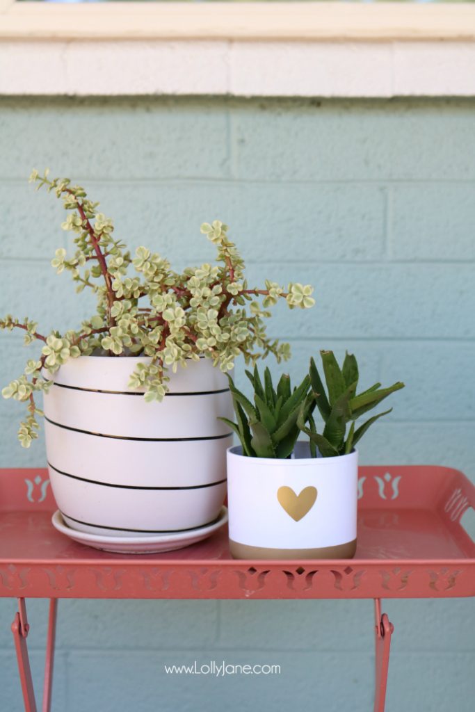 DIY toothbrush holder succulent! Turn a toothbrush holder into a succulent planter, so cute! Love this succulent hack!