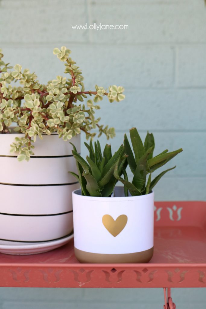 DIY toothbrush holder succulent! Turn a toothbrush holder into a succulent planter, so cute! Love this succulent hack!