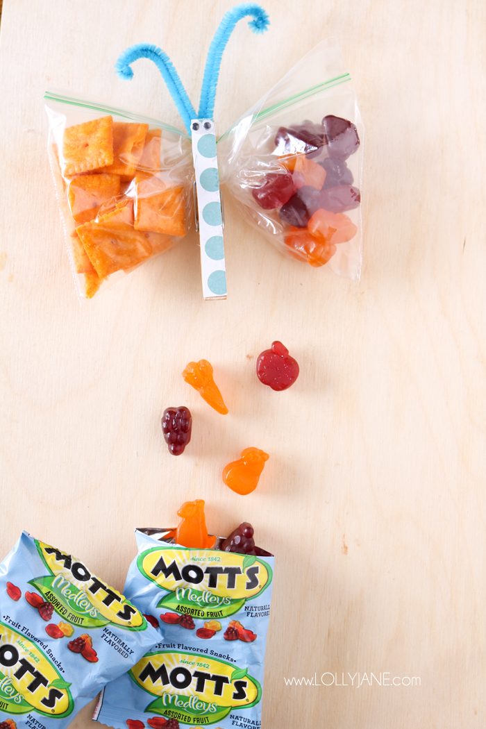 Butterfly Snack Bags - Super Easy Snack Bag for Kids