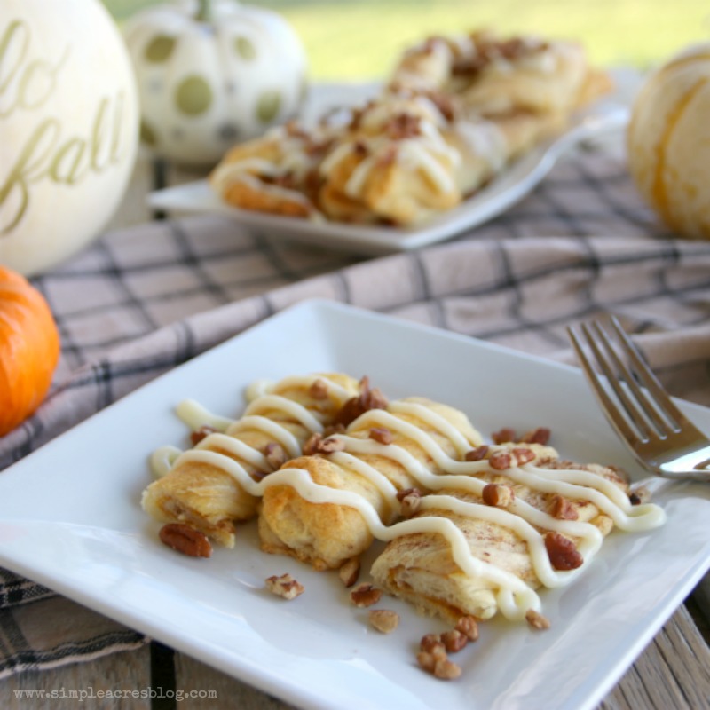 Pumpkin Pecan Twists with Cream Cheese Frosting. The perfect fall dessert, yum! Love this pecan dessert, mm!