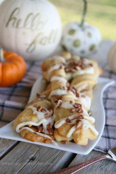 Pumpkin Pecan Twists with Cream Cheese Frosting. The perfect fall dessert, yum! Love this pecan dessert, mm!