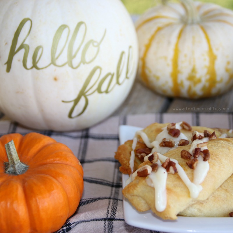 Pumpkin Pecan Twists with Cream Cheese Frosting. The perfect fall dessert, yum! Love this pecan dessert, mm!