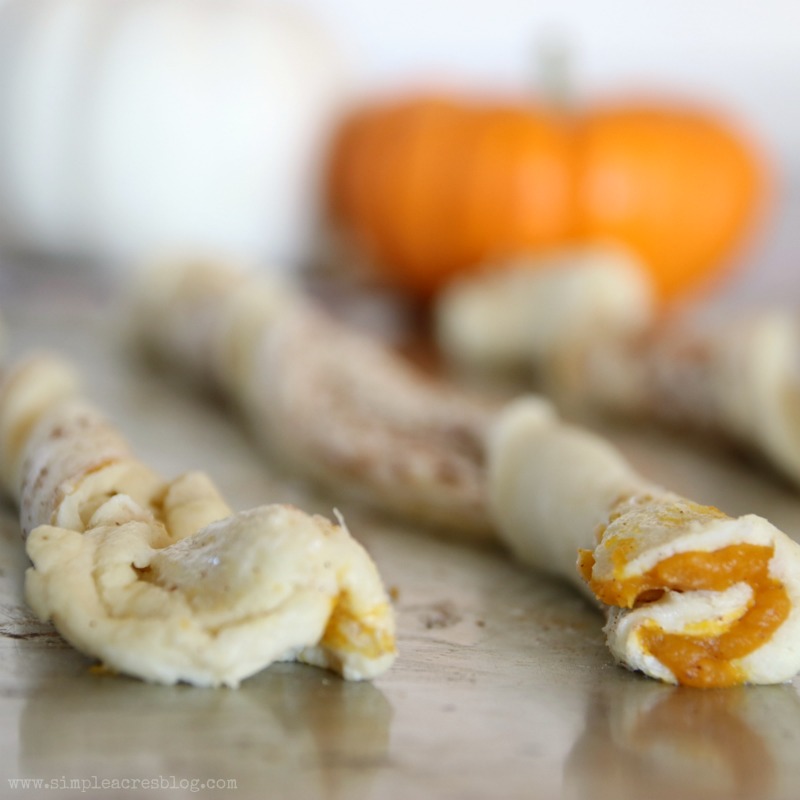 Pumpkin Pecan Twists with Cream Cheese Frosting. The perfect fall dessert, yum! Love this pecan dessert, mm!