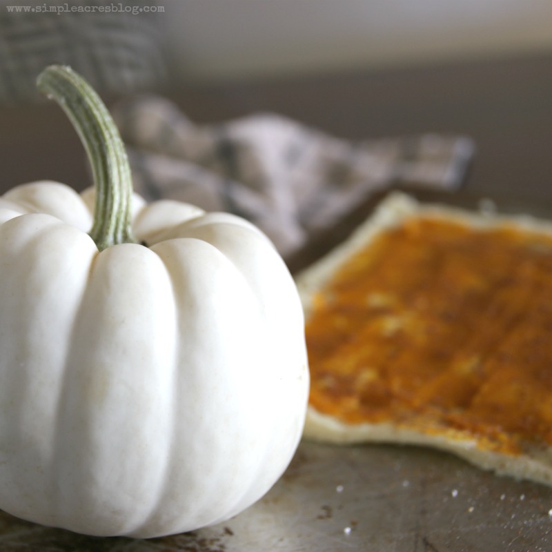 Pumpkin Pecan Twists with Cream Cheese Frosting. The perfect fall dessert, yum! Love this pecan dessert, mm!