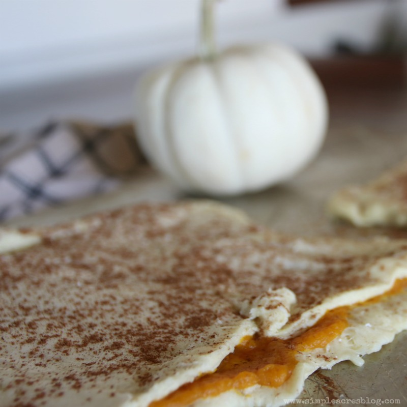 Pumpkin Pie Twists with Cream Cheese Frosting