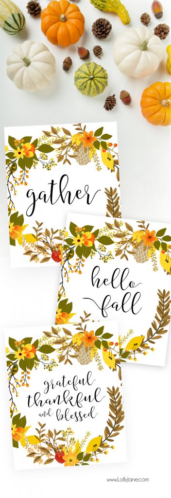 Gorgeous 3-pack of printable fall art! Choose from "Hello Fall", "Gather" or "Thankful, Grateful and Blessed"