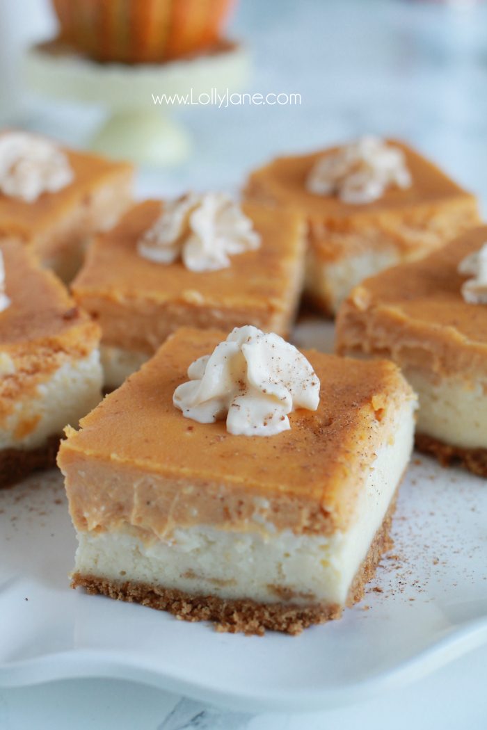 Pumpkin Cheesecake Bars recipe. These pumpkin spice cheesecake bars are so yummy! Full of pumpkin pie spice flavor. Easy fall recipe dessert. Love this baked cheesecake recipe, yum!