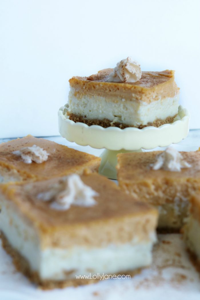 Pumpkin Cheesecake Bars recipe. These pumpkin spice cheesecake bars are so yummy! Full of pumpkin pie spice flavor. Easy fall recipe dessert. Love this baked cheesecake recipe, yum!