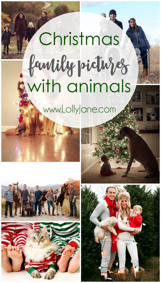 Christmas family pictures with animals ideas! Love all these family pictures with pets, such a fun way to include your pet in your Christmas pictures!