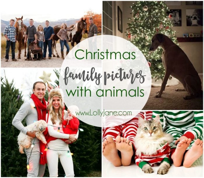Christmas family pictures with animals ideas! Love all these family pictures with pets, such a fun way to include your pet in your Christmas pictures!