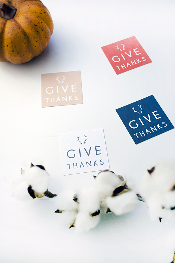 Give Thanks free printables tags. Download these free tags to use as name card holders, wrap around a napkin ring or write what you're thankful for. Cute Thanksgiving dinner idea!